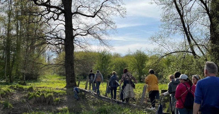 Kräuterspaziergang – Teilnehmer wandern durch die Au